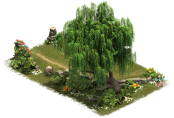 Saule de druide 2