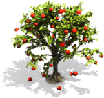 Pommier