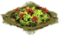 Fleurs