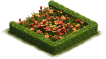 Parterre d'hémérocalles