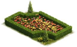 Carré de calendula